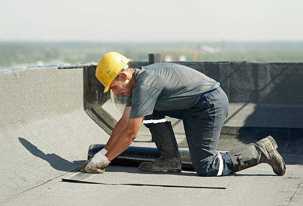 Best Insulation Installation Services in Fort Belknap Agency, MT
